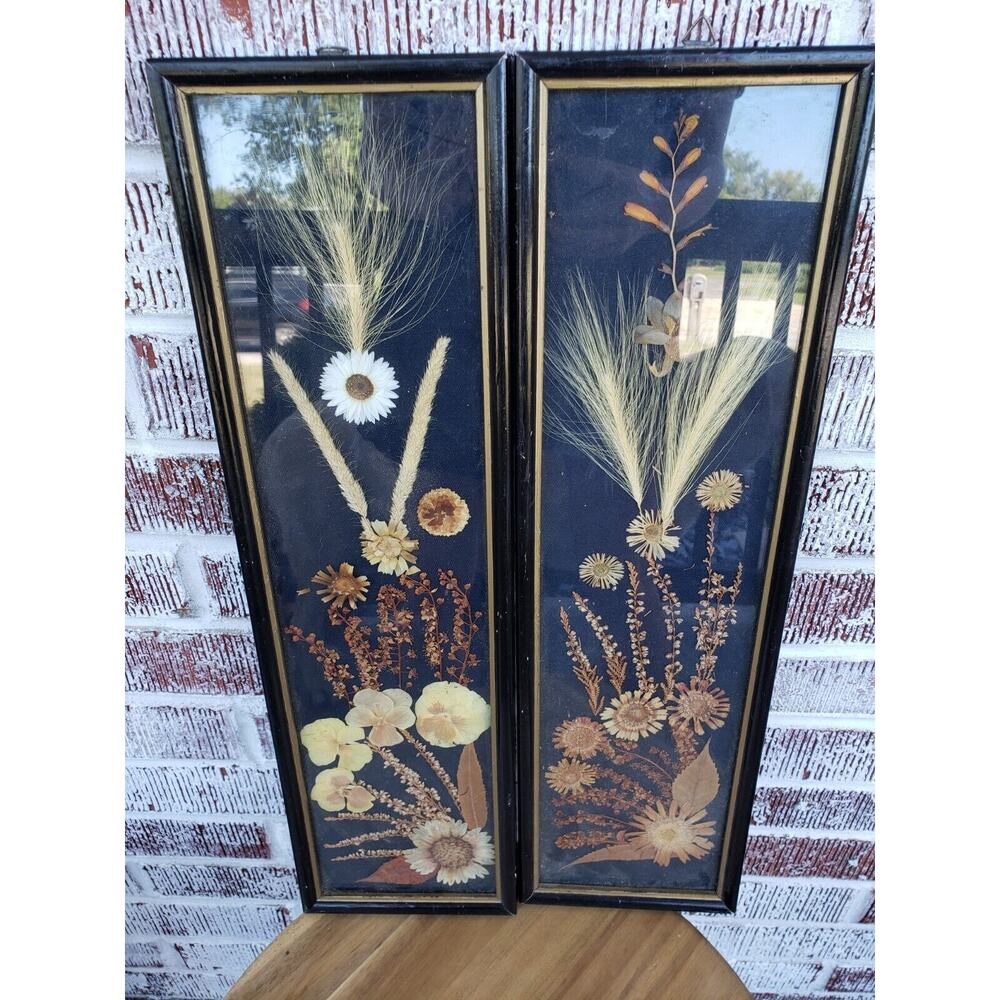 2 ANTIQUE ROCCOCO FRAMED DRIED FLOWER pressed poland victorian oddity wall art